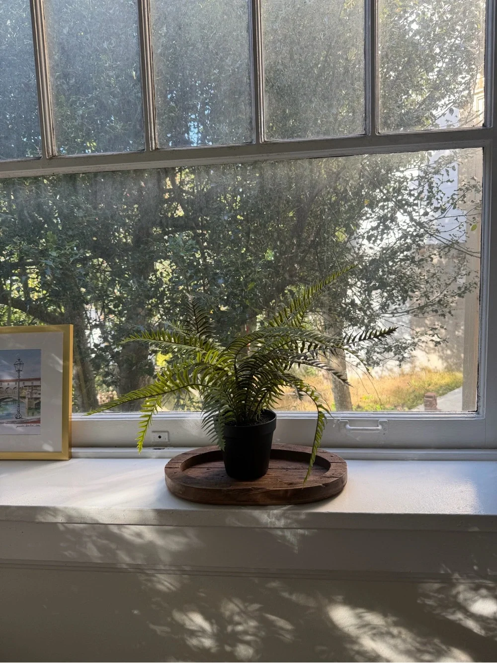 Pottery Barn Faux Potted Wild Fern